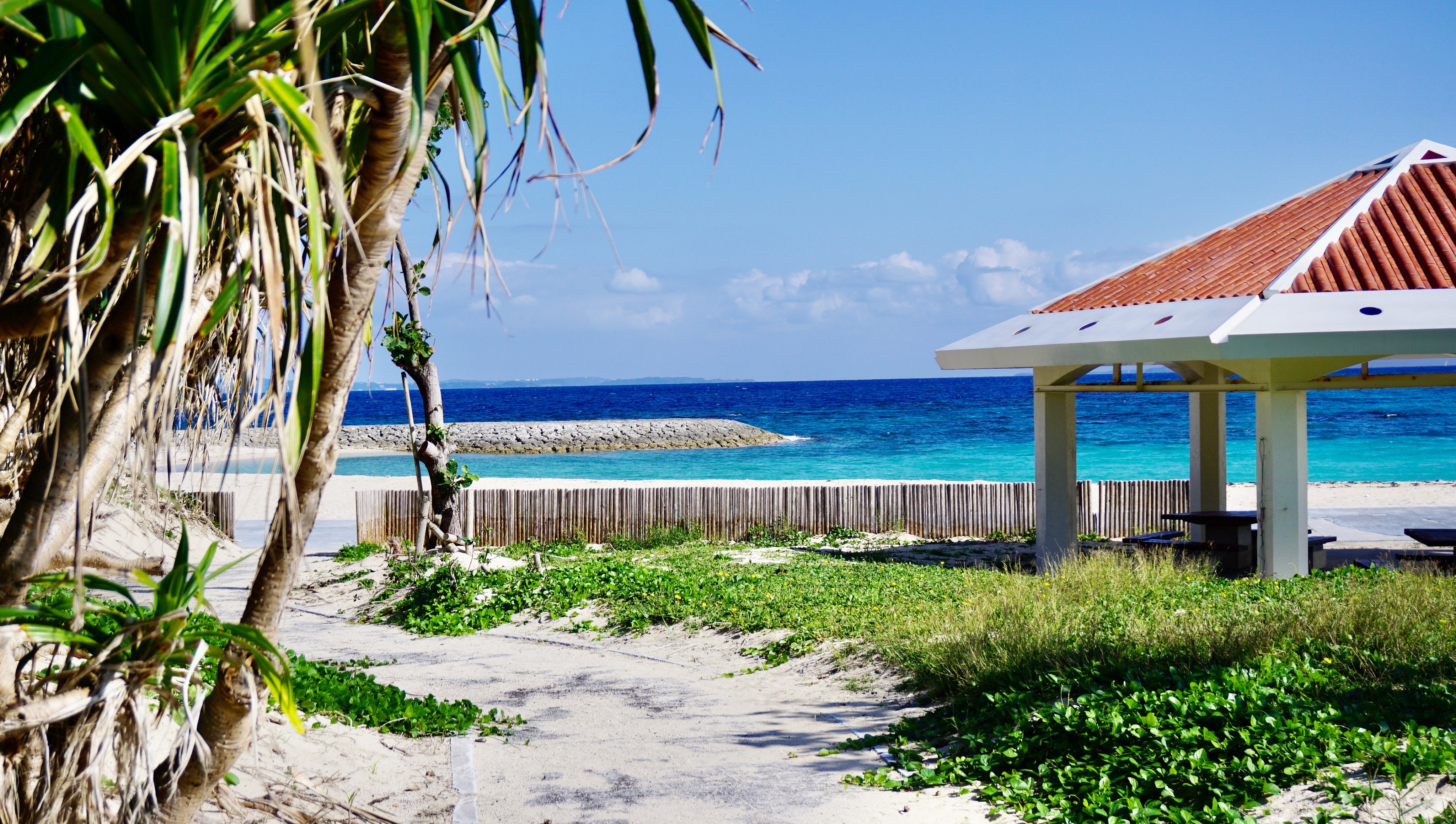 kongni-zhaorasareta-haino-jing-se (1)-1