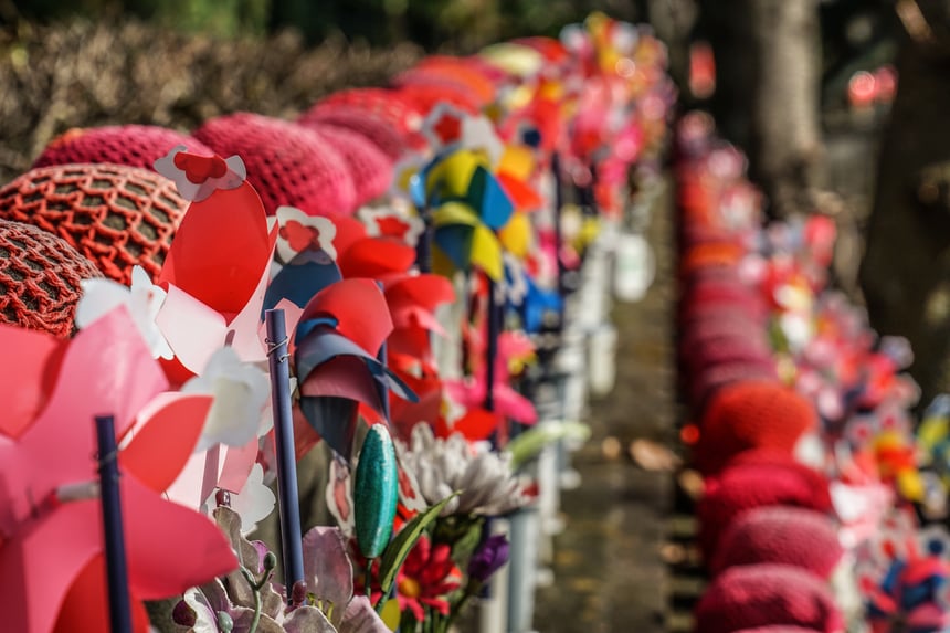 地域文化との融合体験